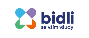 ad-web-logo-bidli-2